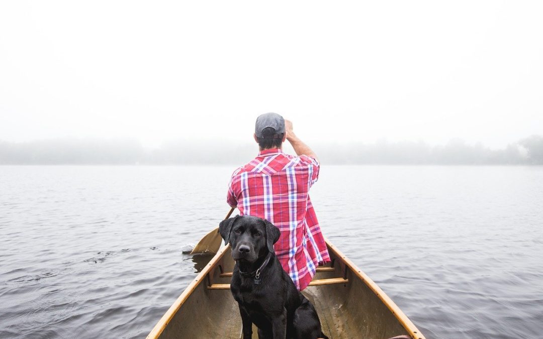 Lake Safety Tips to Keep Your Pet Safe This Summer